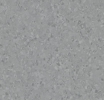 Линолеум Forbo Sphera Element 50009 lead фото 1 | FLOORDEALER